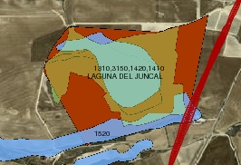 Afecciones a la Laguna del Juncal y al hábitat 1520
