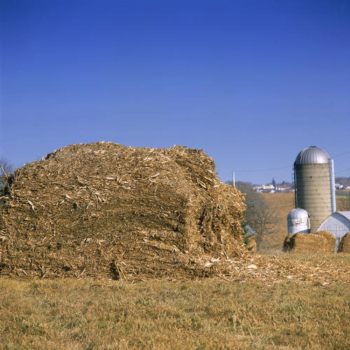 Biomasa agrícola y forestal